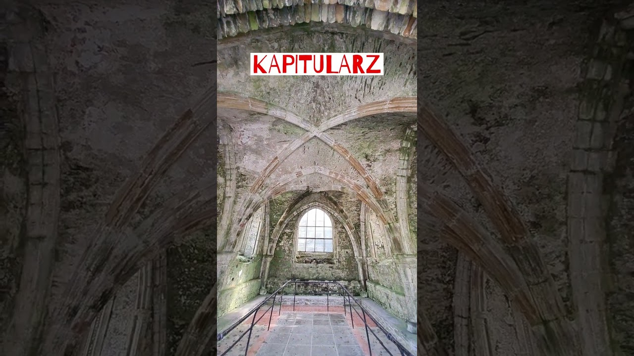 Brooklyńska rada cysters&oacute;w zebrała się w Kapitularzu. Coś wymyślą! #shorts #historia #archeologia
