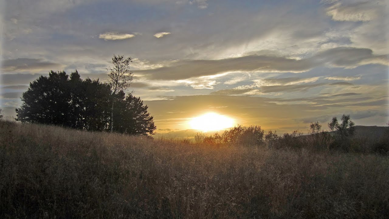 Erčege - Medovine