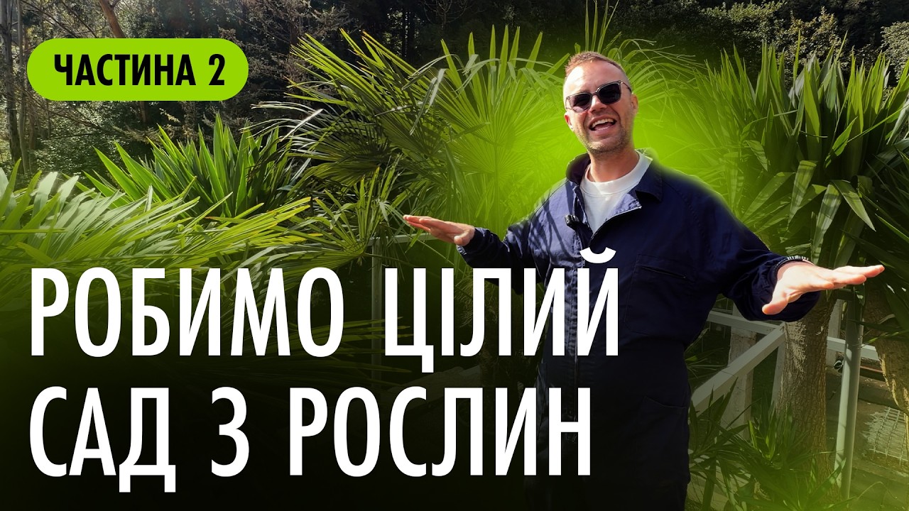 ПЕРШІ 50 РОСЛИН В НАШ ОФІС РАЮ НА МАДЕЙРІ | VLOG #2