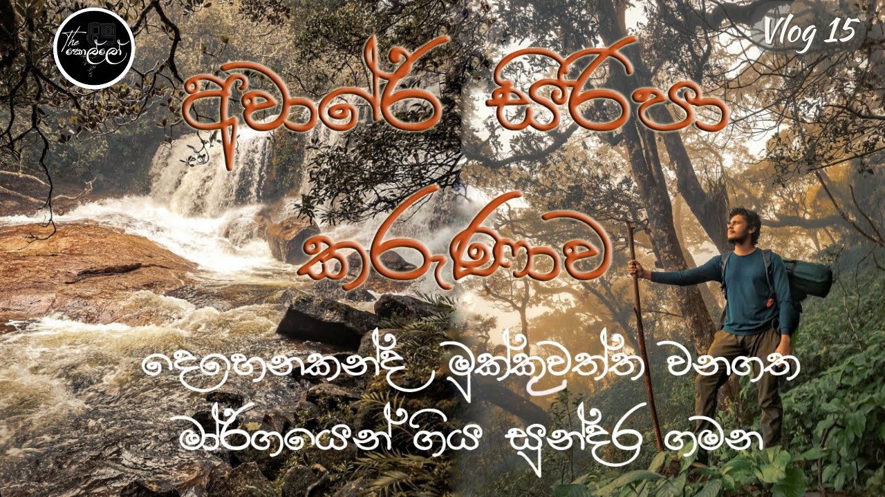 දෙහෙනකන්ද මුක්කුවත්ත මාර්ගයෙන් ආවාරේ සිරිපා කරැණාව | Full Details | කැලෑ පාරෙන් උඩමලුවට | Vlog 15