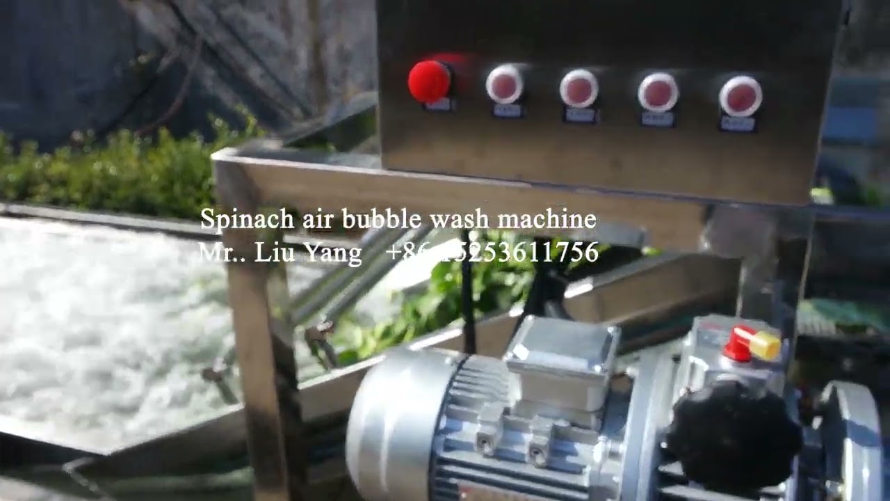 Spinach air bubble wash machine 20220212