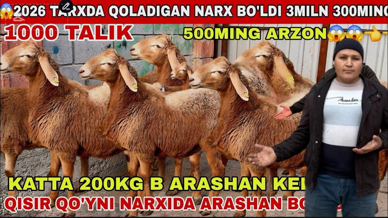 DONIYORBEKGA YANGI PARTIYA KELDI SHOSHLING ARASHAN VA HSORI SOVLIQLAR