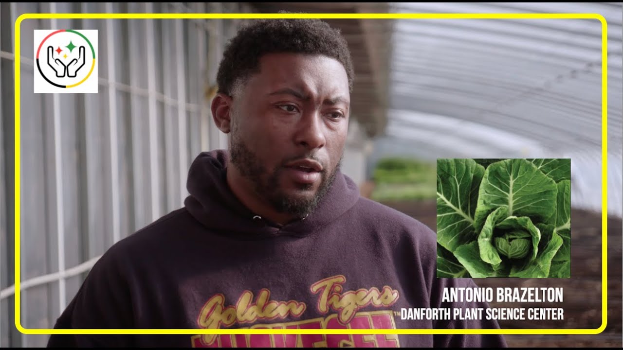 Young Scientist Seeks to Cultivate an Even Better Collard Green