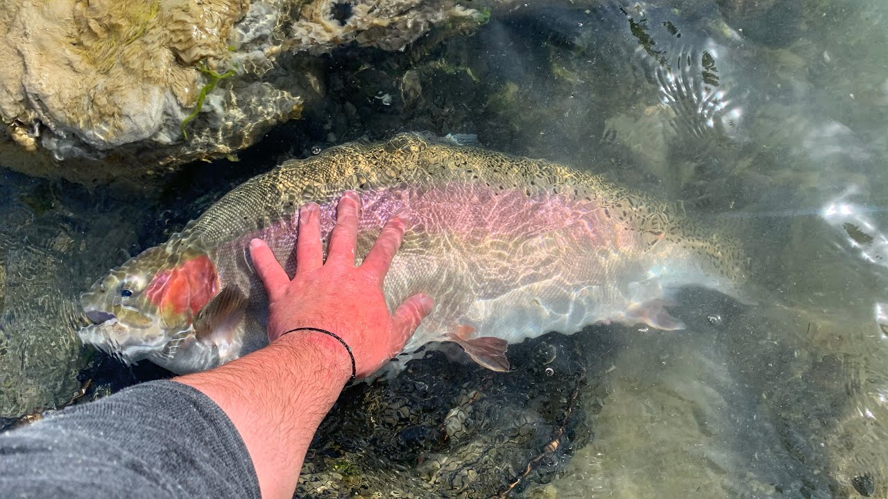 The Fishing Gear I use to catch TROUT in New Zealand
