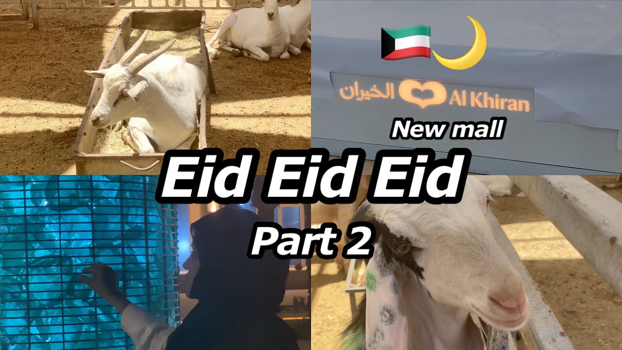 Eid-ul-Adha Mubarak 🐏🌙 | Bakra Eid In Kuwait 🇰🇼 | Samina Asif Vlogs