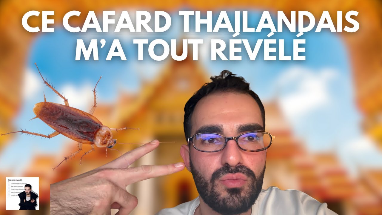 un cafard thaïlandais m’a dévoilé toute la vérité 