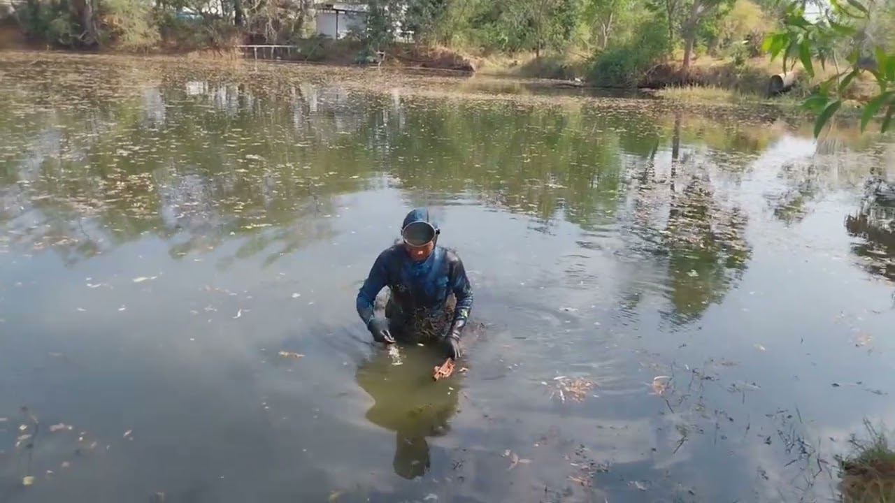 เปลี่ยนแนวทางการหากิน