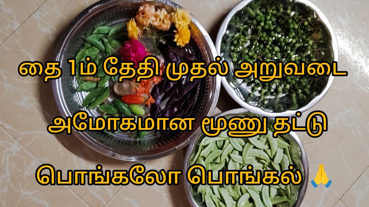அவரைச் செடிக்கு உரங்கள் ரெடி பண்ணுவது எப்படி வாங்க பார்க்கலாம்