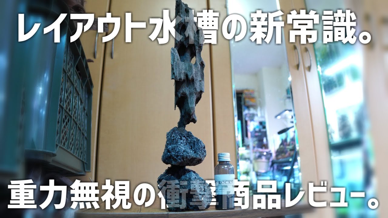 これ神です。レイアウト水槽の必需品になる凄い商品をレビュー！SAND ROCKS(サンドロックス）#658【アクアリウム】