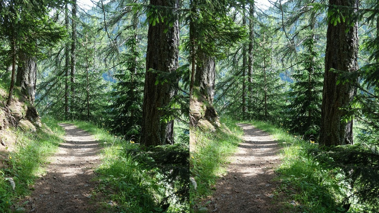 Easy mountain path and its flowers - slide show 3D 4K (3840x2160 hsbs) from the Alps, Italy - Watles