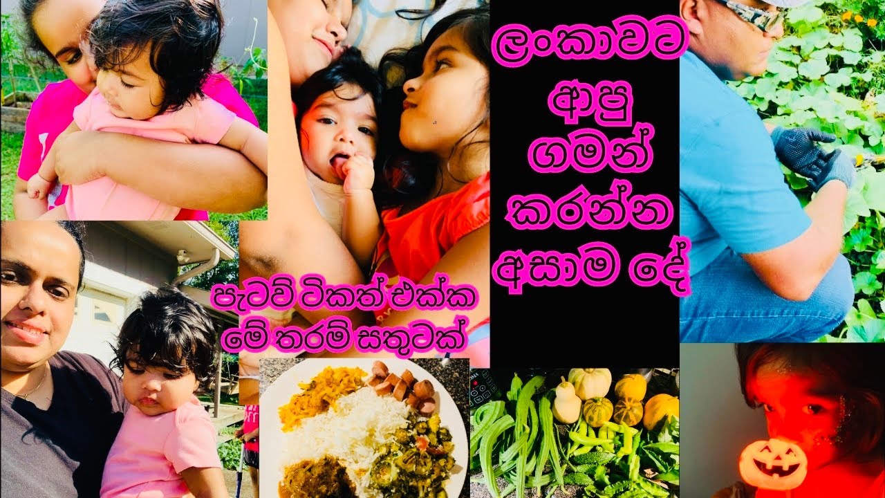 ලංකාවට ආපු ගමන්ම කරන්න අසාම දේ🥰| Life in USA | American Village life | Motivational |