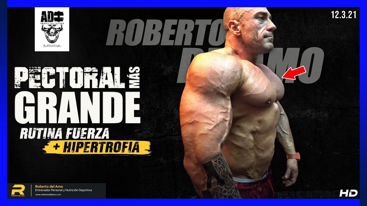 PECTORAL MÁS GRANDE  -  Rutina fuerza + Hipertrofia