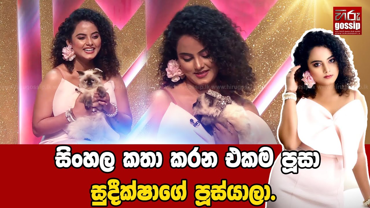 සිංහල කතා කරන එකම පූසා 