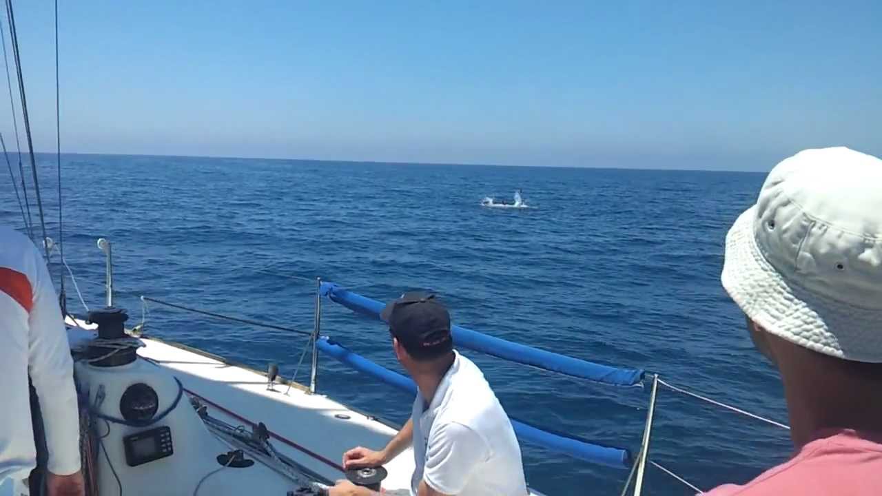 נועם טור בלו וויב אדם בים