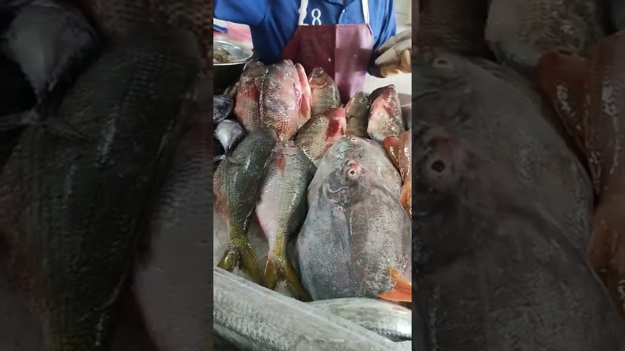 Dubai Al ain Fish market