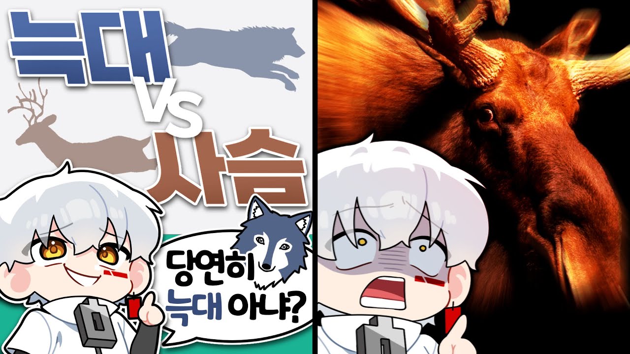 인간으로 태어나서 다행이다... [최강동물월드컵]