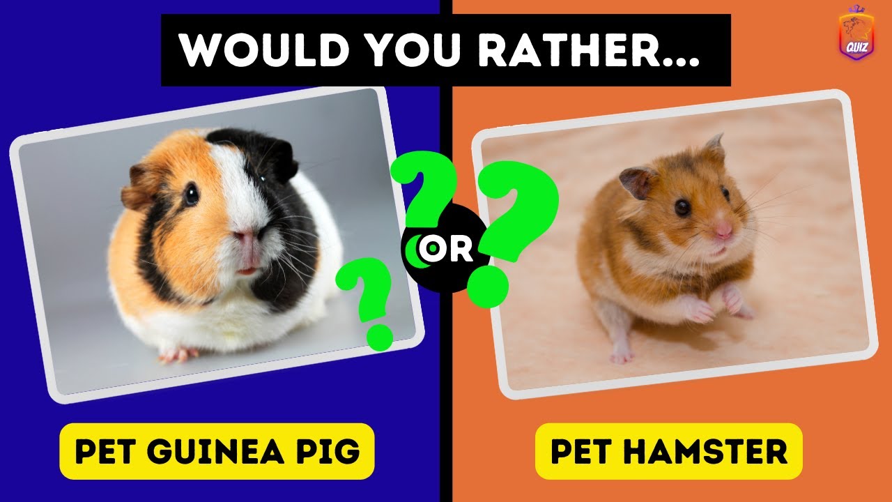 Would you rather.....? Animal Edition with Amazing Choices 🦁