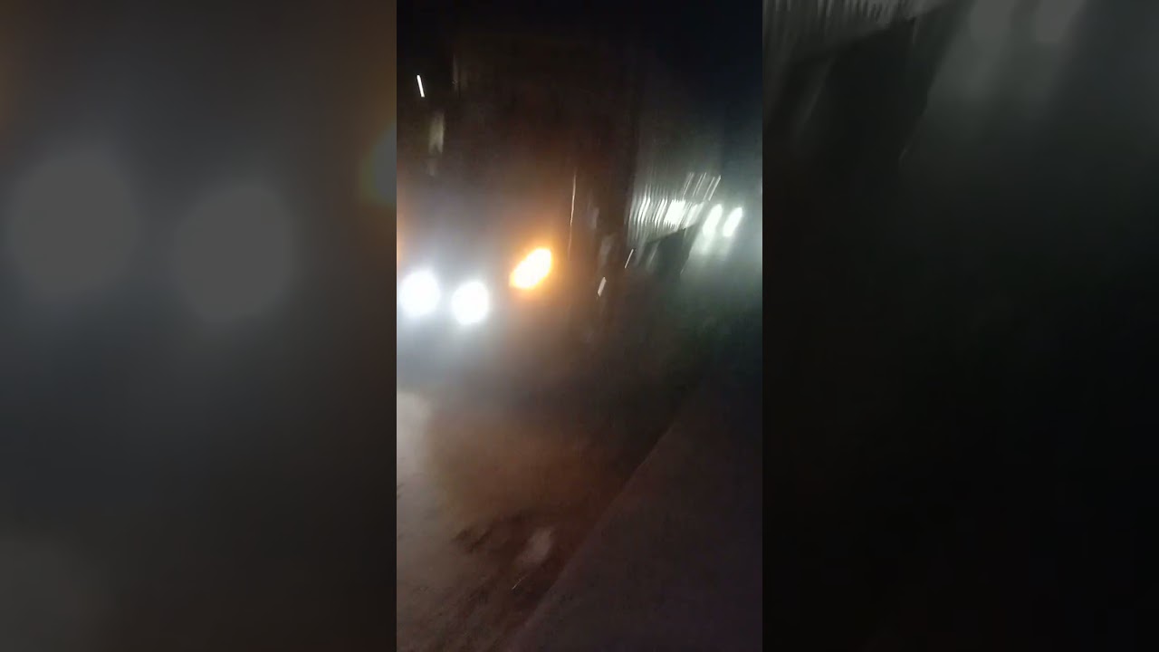 বড় ই আনতে গিয়ে ঝামেলা 