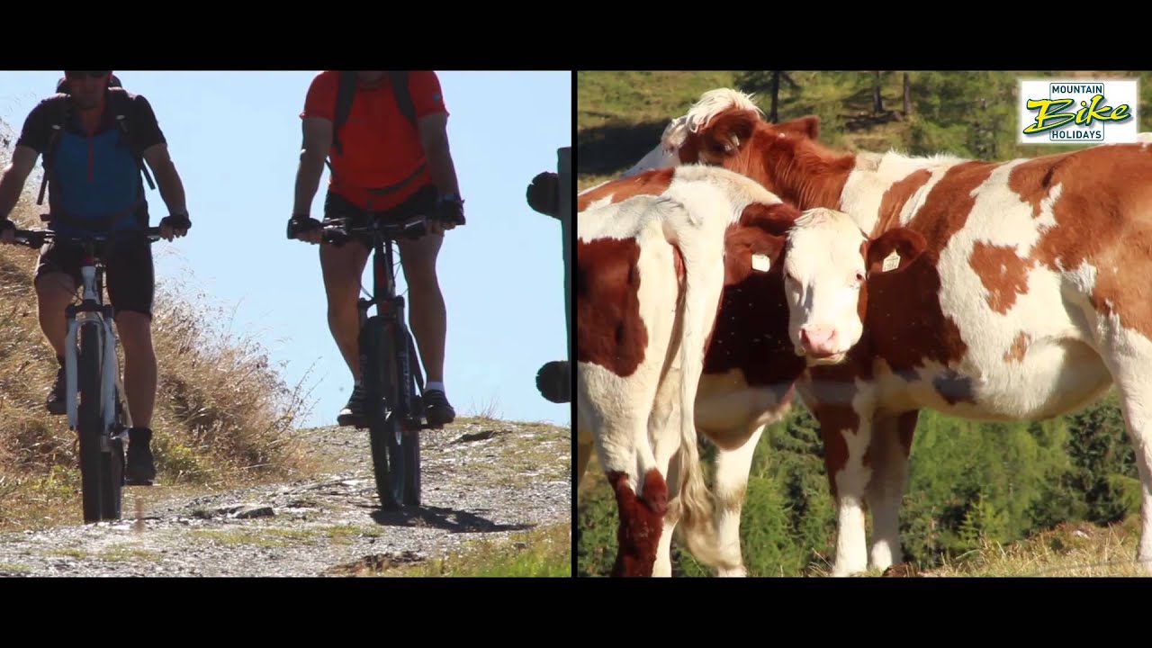 Großarltal - Tal der Almen & Mountainbiker