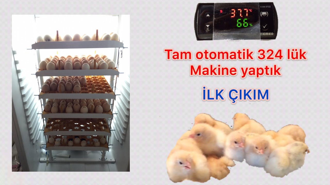 BUZDOLABINDAN KULUÇKA MAKİNESİ ( Görüntü Bölüm 1)