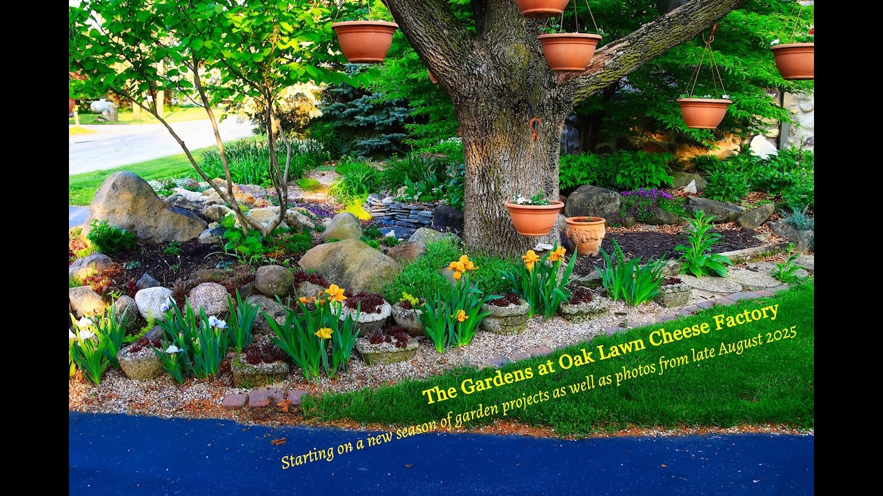 The Gardens at Oak Lawn Cheese Factory: Planning begins for season 2026