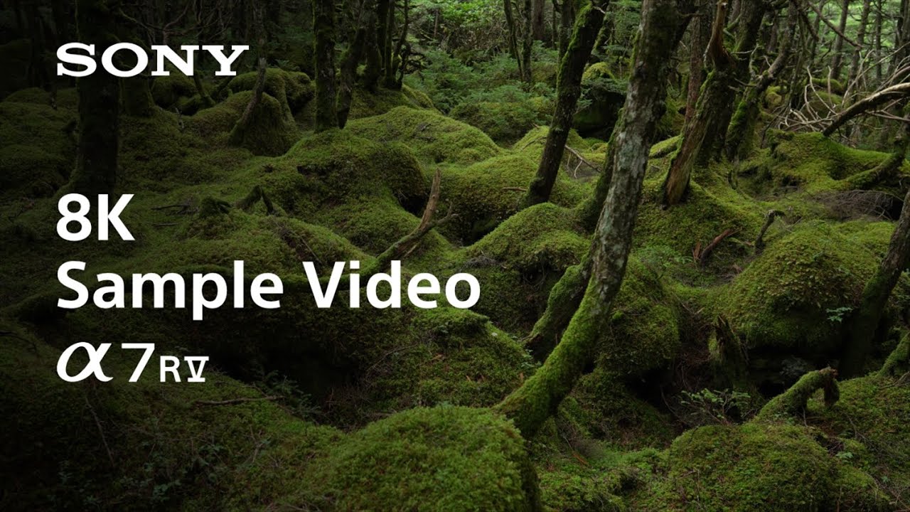 8K Sample Video | Alpha 7R V | Sony | &alpha;