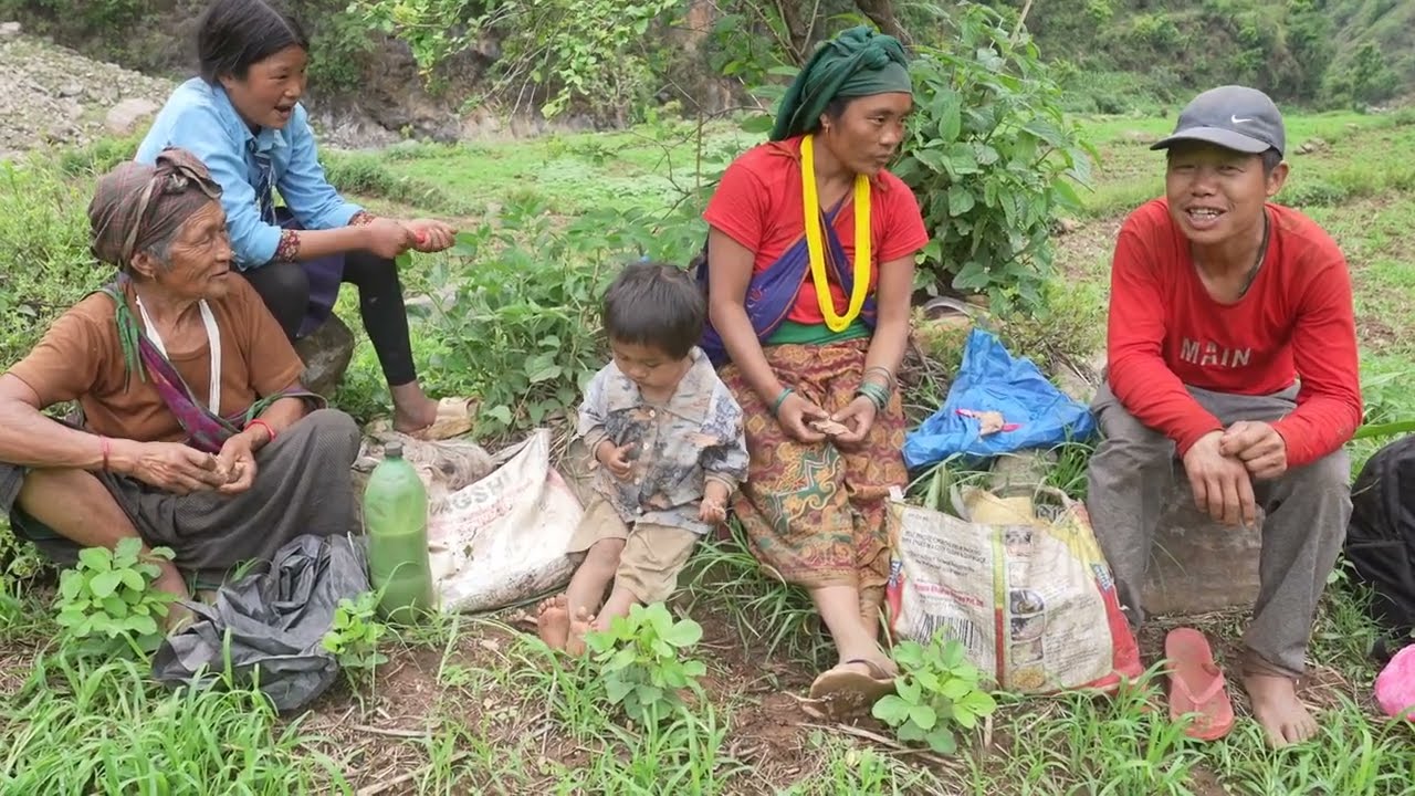 Myvillage official videos EP 1040 || Working by villager in farming area