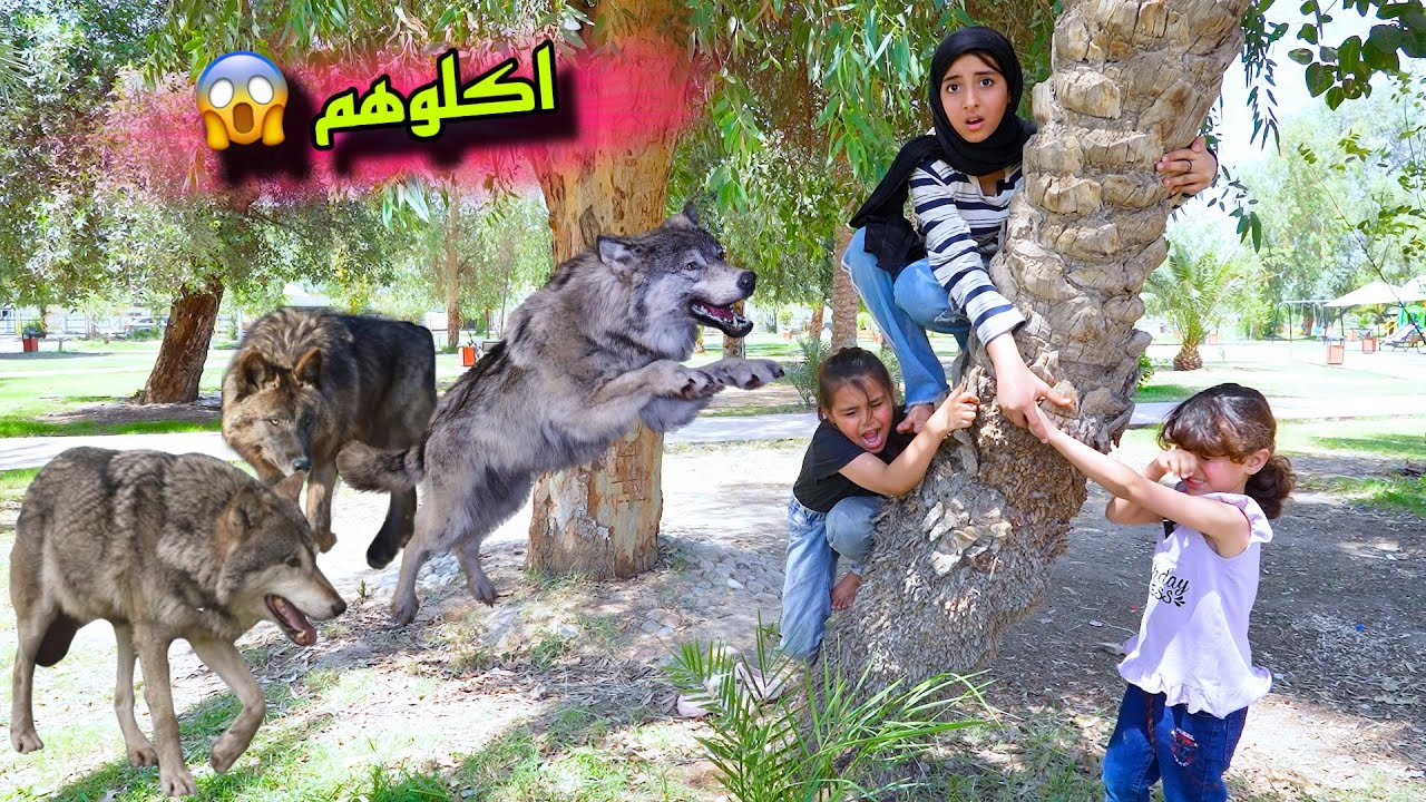 طفله بحديقه الحيوانات يهجم عليها اسد والنهايه كارثه
