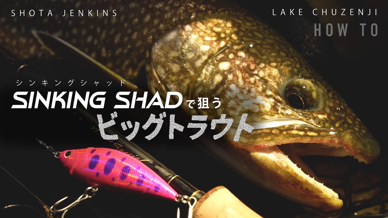 シンキングシャッドで狙うビッグトラウト。解説 ショータ・ジェンキンス