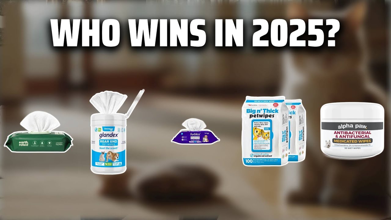 The Top 5 Best Cat Wipes in 2025 - Must Watch Before Buying!