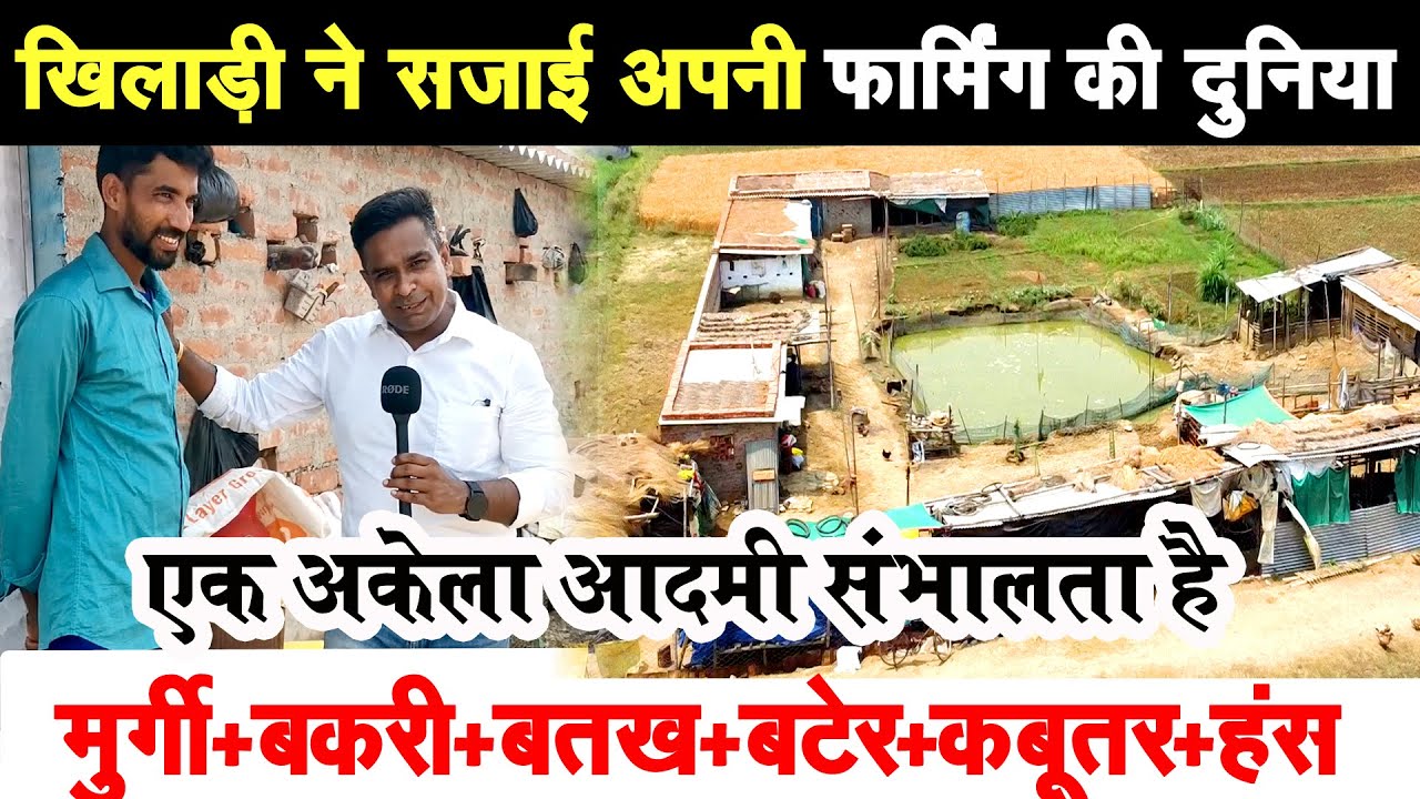 बतख पालन + मुर्गी पालन + बकरी पालन  + कबूतर + बटेर + हंस पालन करने वाला यह किसान  