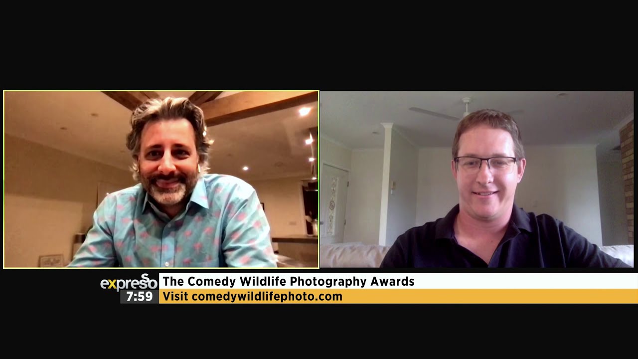 The Comedy Wildlife Photography Awards #2