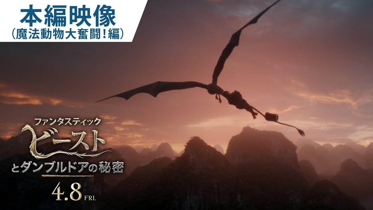 映画『ファンタスティック・ビーストとダンブルドアの秘密』本編映像（魔法動物大奮闘！編） 2022年4月8日（金）公開