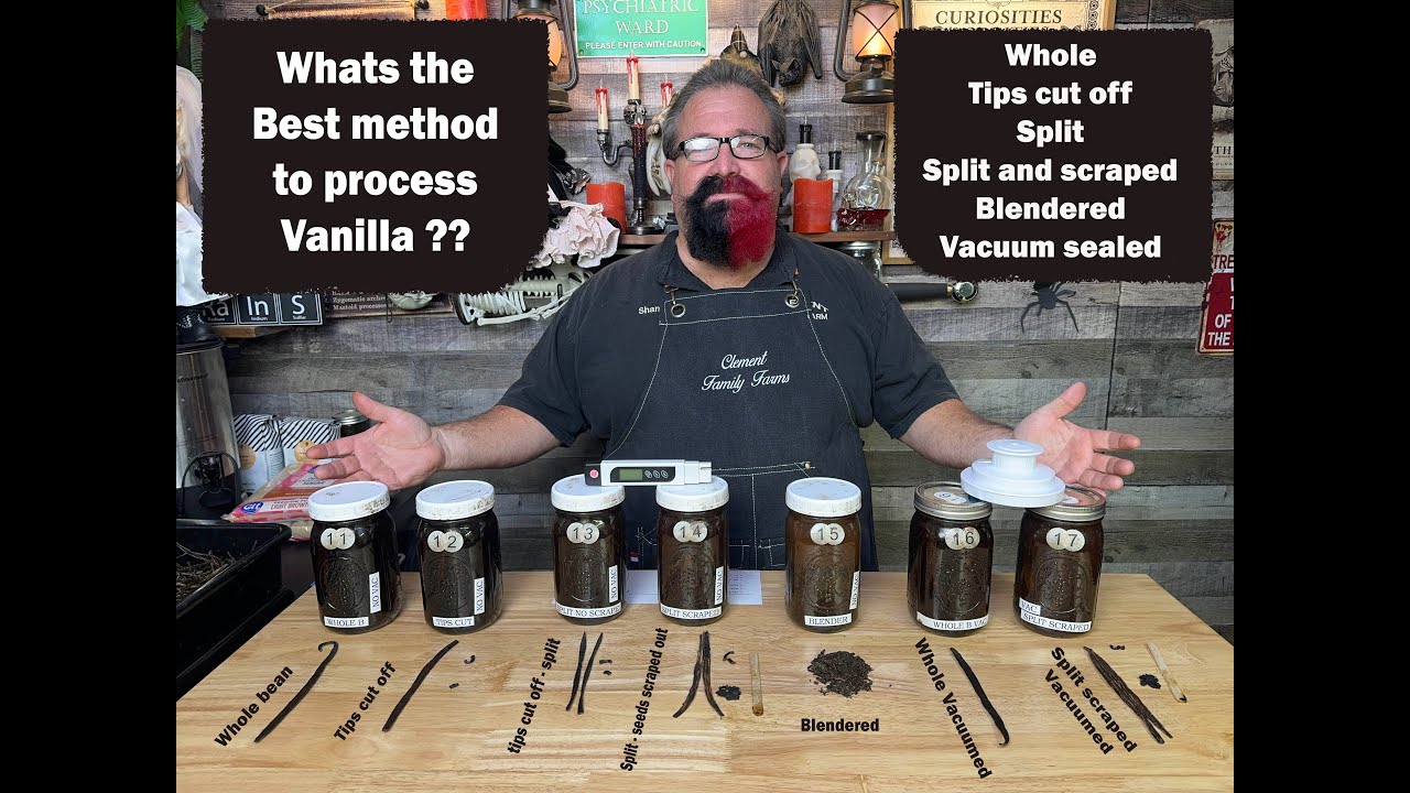 Vanilla Beans Do I cut and split them? Tested methods
