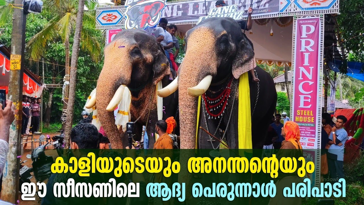 കാളിയുടെയും അനന്തന്റെയും ആദ്യ പെരുന്നാൾ 🤩🥰 | Chirakkal Kalidasan & Cherpulassery Ananthapadmanabhan