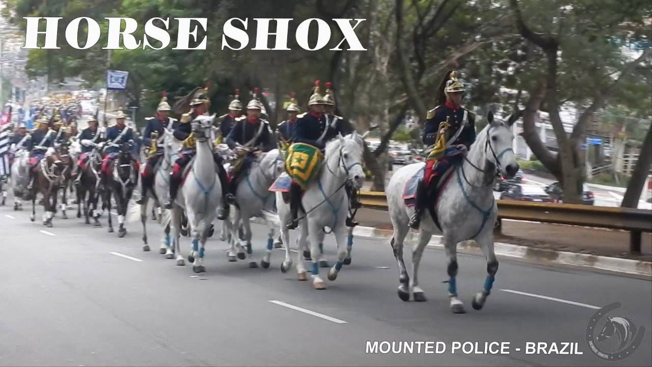 HORSE SHOX&reg; - Rubber Horseshoes