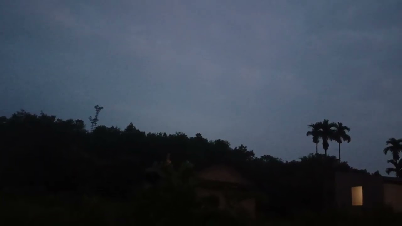 Morning Nature Sounds: Birds Chirking & Gentle Wind🌲🦜🐔