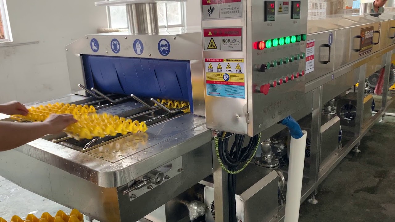 egg tray washer