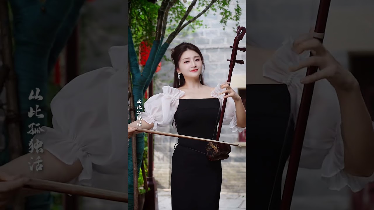 人间烟火 #二胡演奏