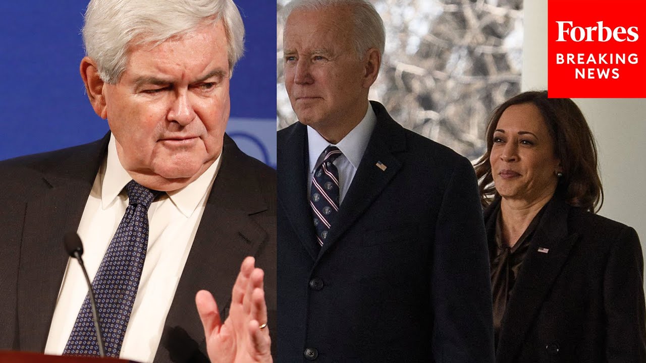 'I Felt, As An American, Embarrassed': Newt Gingrich Laces Into Kamala Harris, Biden Over Trips