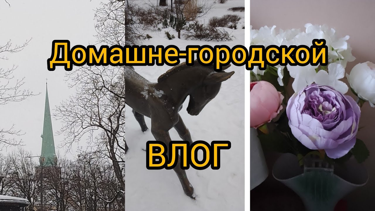 ВЛОГ домашне-городской 