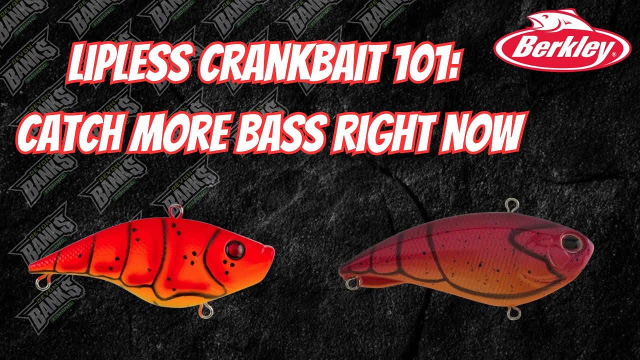 Lipless Crankbait 101: Catch More Bass Right Now