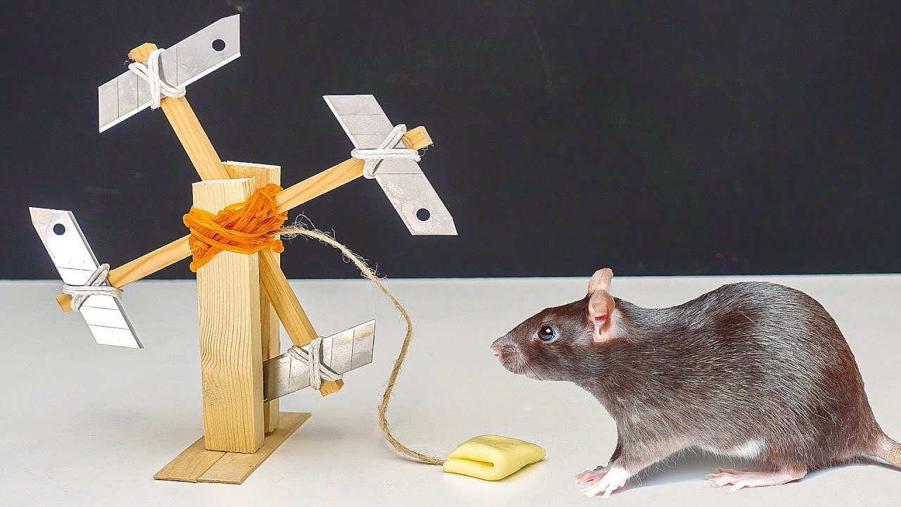 La Trampa para Ratas MÁS LOCA jamás creada 🐀😲