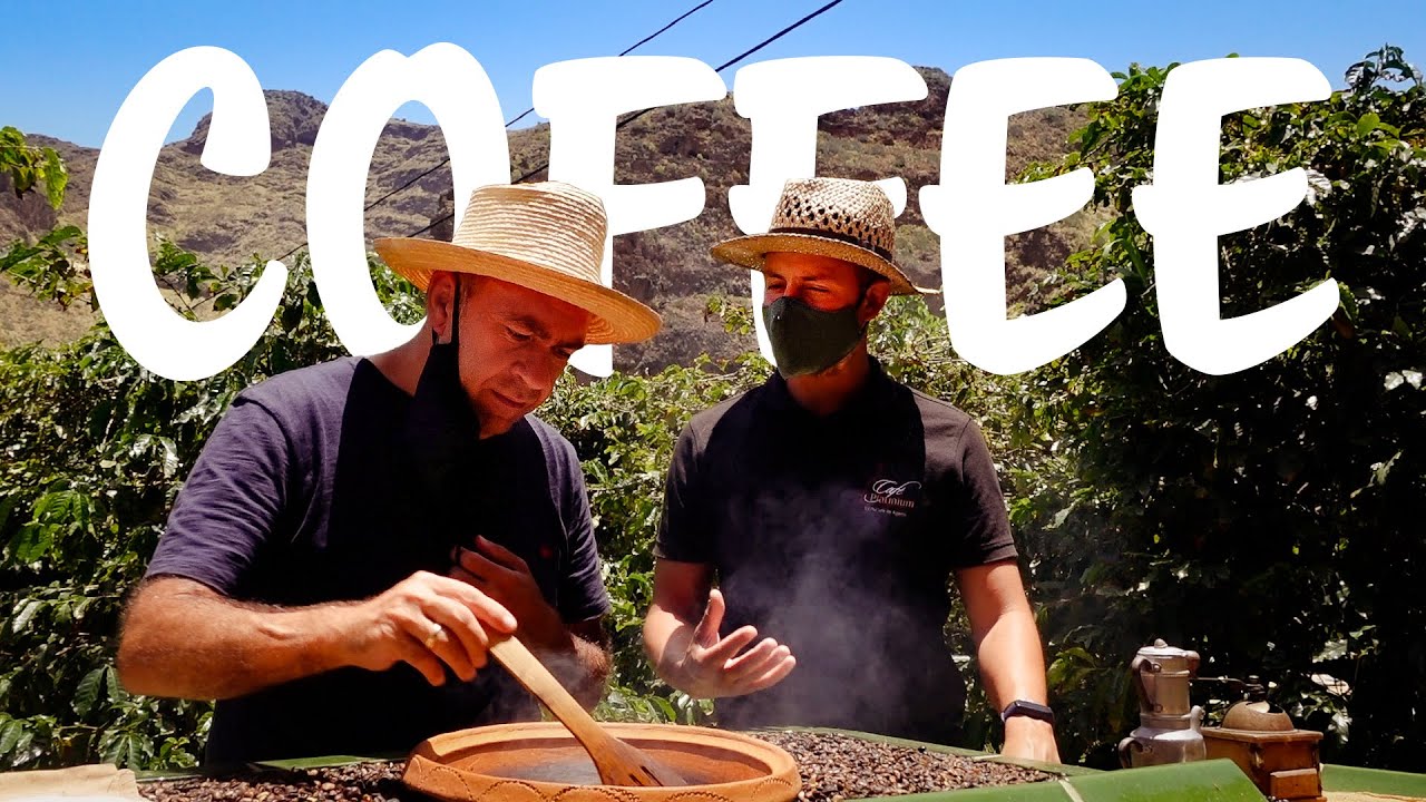Local Flower Cheese and Europe's only Coffee plantation on Gran Canaria