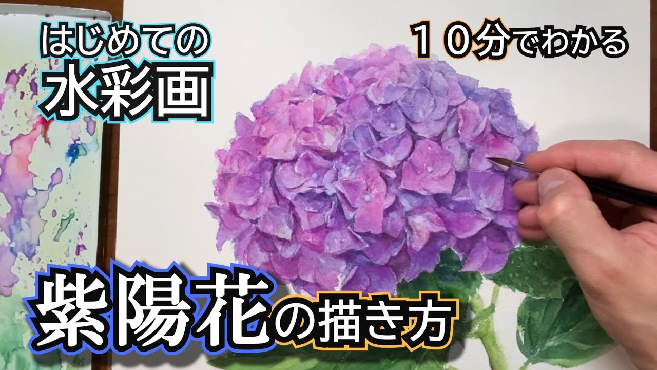 【初心者必見】紫陽花を立体的に描くコツ /１０分でわかる水彩画