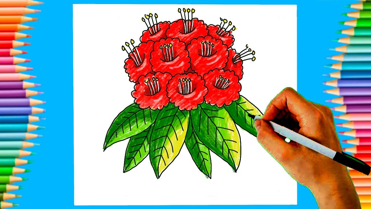 How to draw Rhododendron Drawing Laliguras national flower