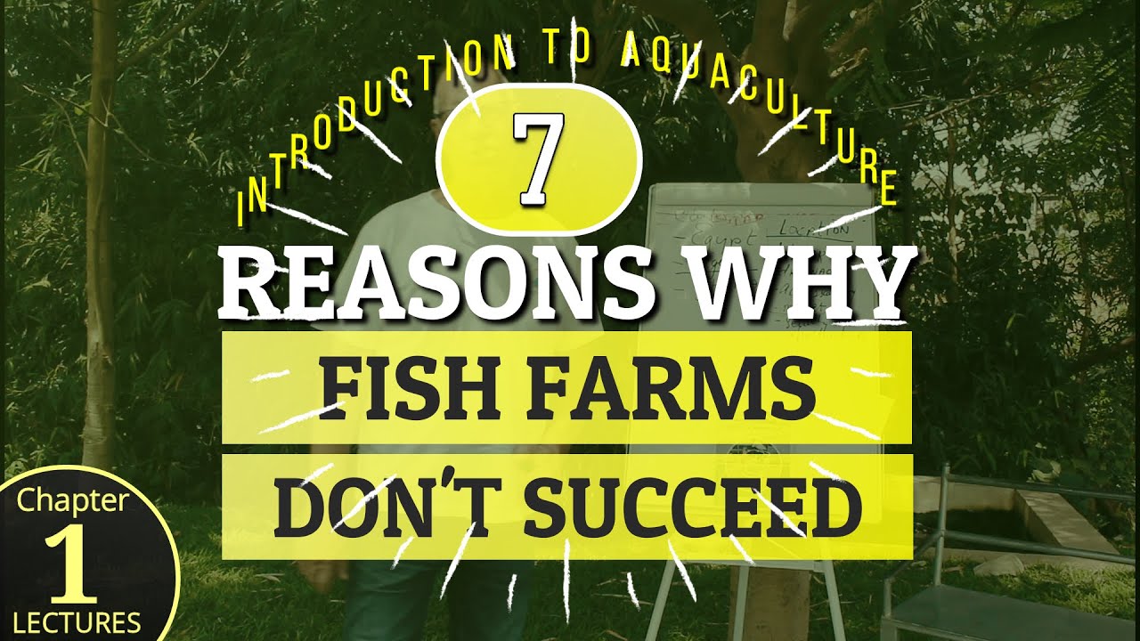 7 Reasons Why Fish Farms Don't Succeed - Introduction To Aquaculture In Africa (Chapter 1)