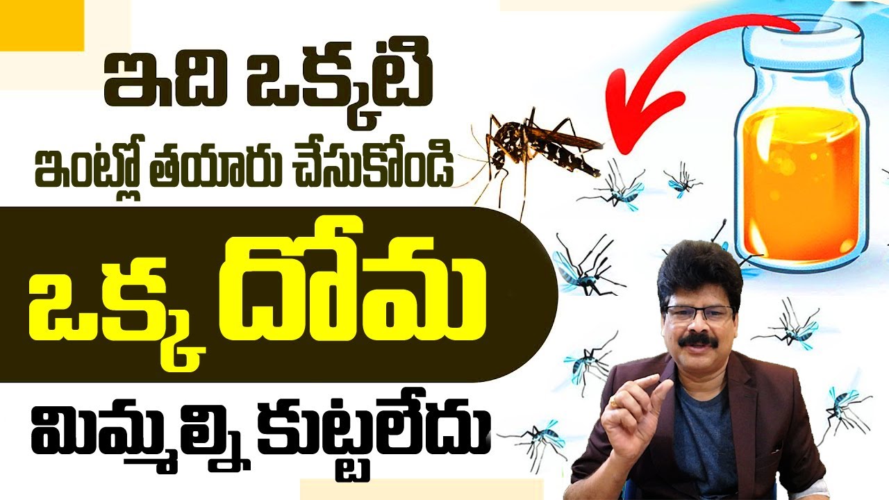 నాచురల్ దోమల మందు! How to Prevent Mosquitoes in Home | Natural Mosquito Repellent! #healthtips