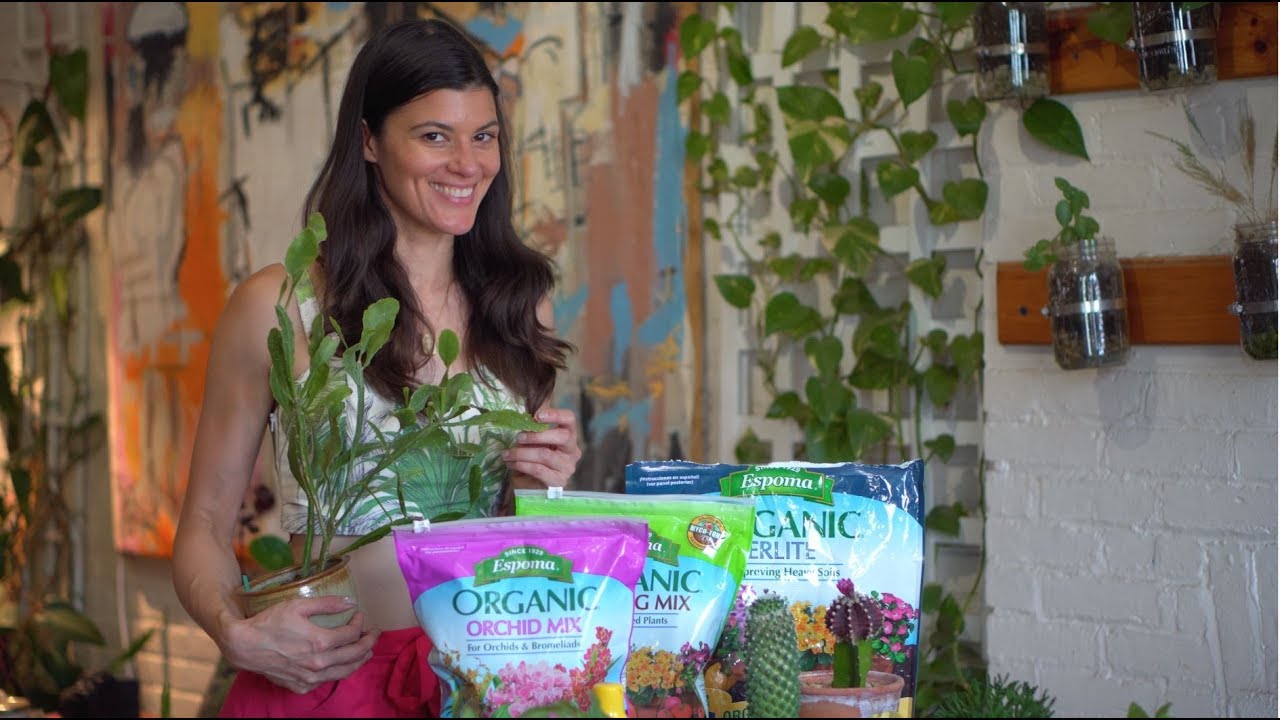 Rhipsalis Care and Propagation