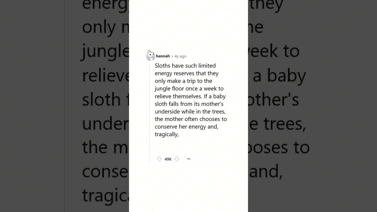 What is a NOT fun fact?  